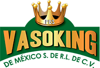 Vasoking de M&eacute;xico